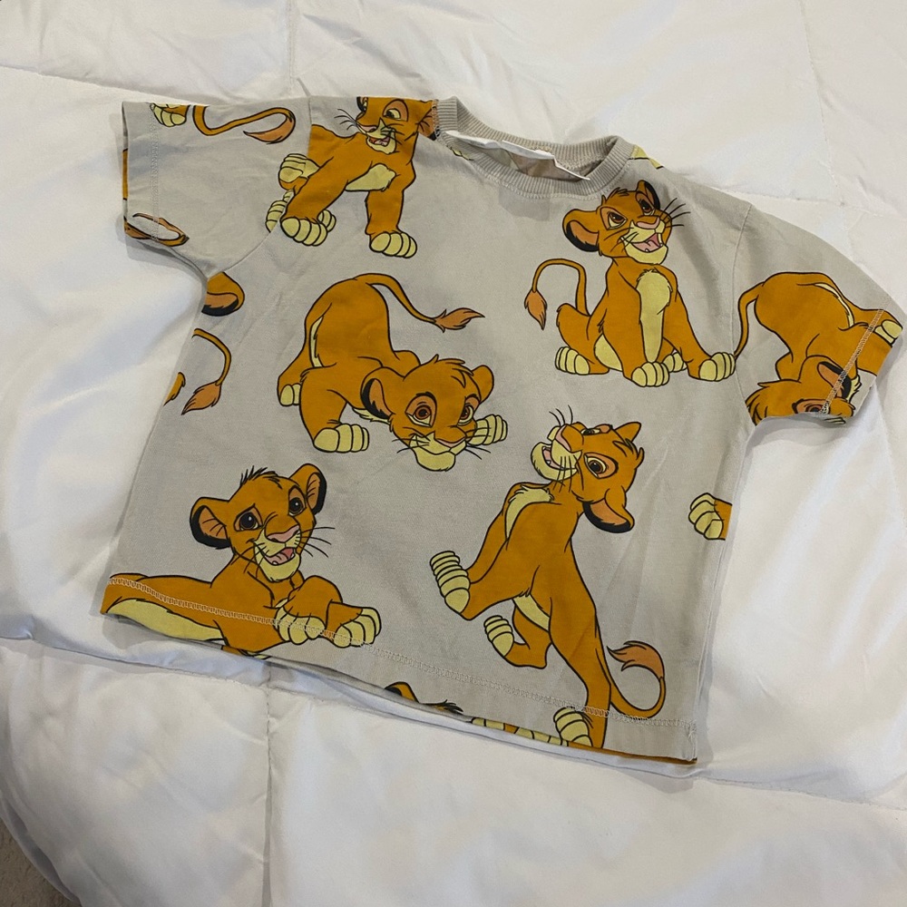 Zara tshirt